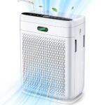 Air Purifiers for Home Large Room Up to 2200 Sq Ft, H13 Hepa Double-Sided Air Filter Purifier with PM 2.5 Display Air Quality Sensor, Air Cleaner for Bedroom, Dust, Pets, Smoke, Pollon