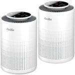 2 Pack Air Purifiers for Home Bedroom H13 True HEPA Air Filter Cleaner, Odor Eliminator, Remove Smoke Dust Pollen Pet Dander, Night Light For Home Living Room Dorm, Quiet 24dB Filtration System