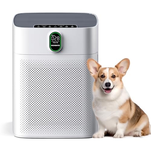 51ar4BW6kdL._SL500_.jpg MORENTO Air Purifiers for Home Large Room up to 1076 Sq Ft with PM 2.5 Display Air Quality Sensor for Pet Hair, Double-Sided Air Inlet, 24db, White, 1 Pack + 2 Pack Filters